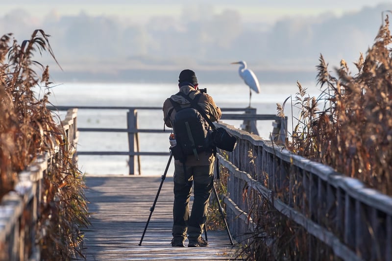 Wildlife Photographer